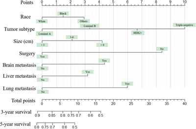 Establishment and Verification of Prognostic Nomograms for Young Women With Breast Cancer Bone Metastasis